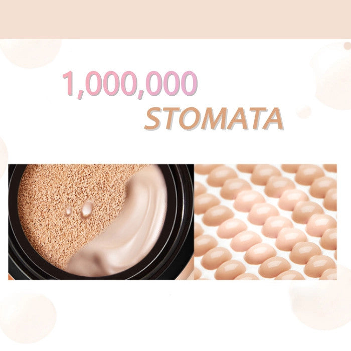 3-In-1 Contouring And Brighten Concealer Paletteđ„BUY 2 GET 1 FREE (3PCS) TODAY ONLY đ„