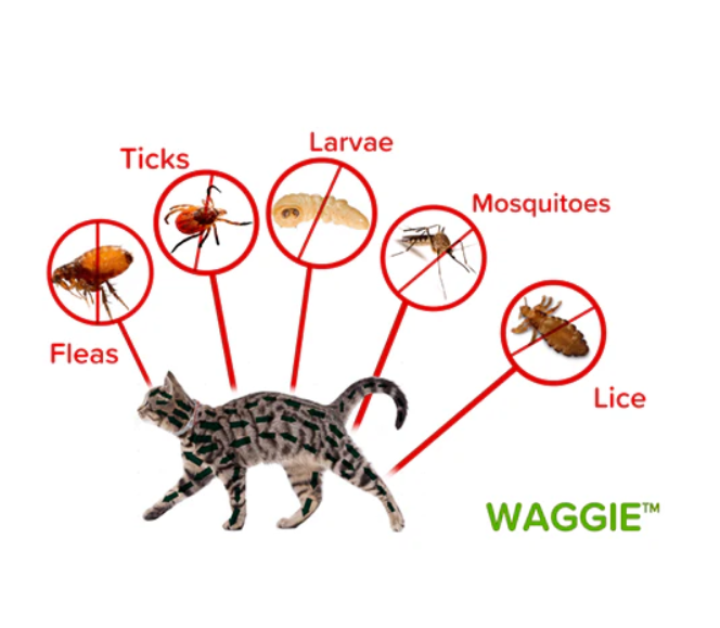 Waggiem-Natural Anti-Flea, Tick,& MosquitoCollar(Safest 8+ MonthsProtection)