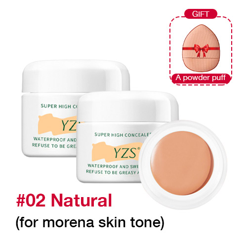 YZS LONG LASTING WATERPROOF CONCEALER