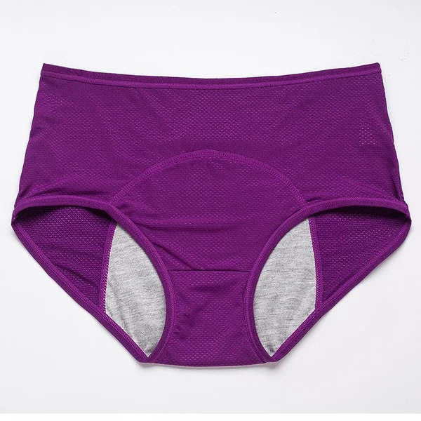 🎉Buy 3 Get 2 Free - High-waisted Leak-proof Protective Panties