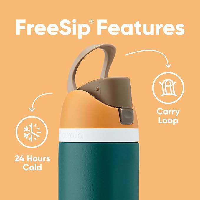 FreeSip Insulated Stainless Steel Water Bottle with Straw for Sports, Travel, and School BPA-Free Sports Water Bottle, 24 oz, Surfs Edge