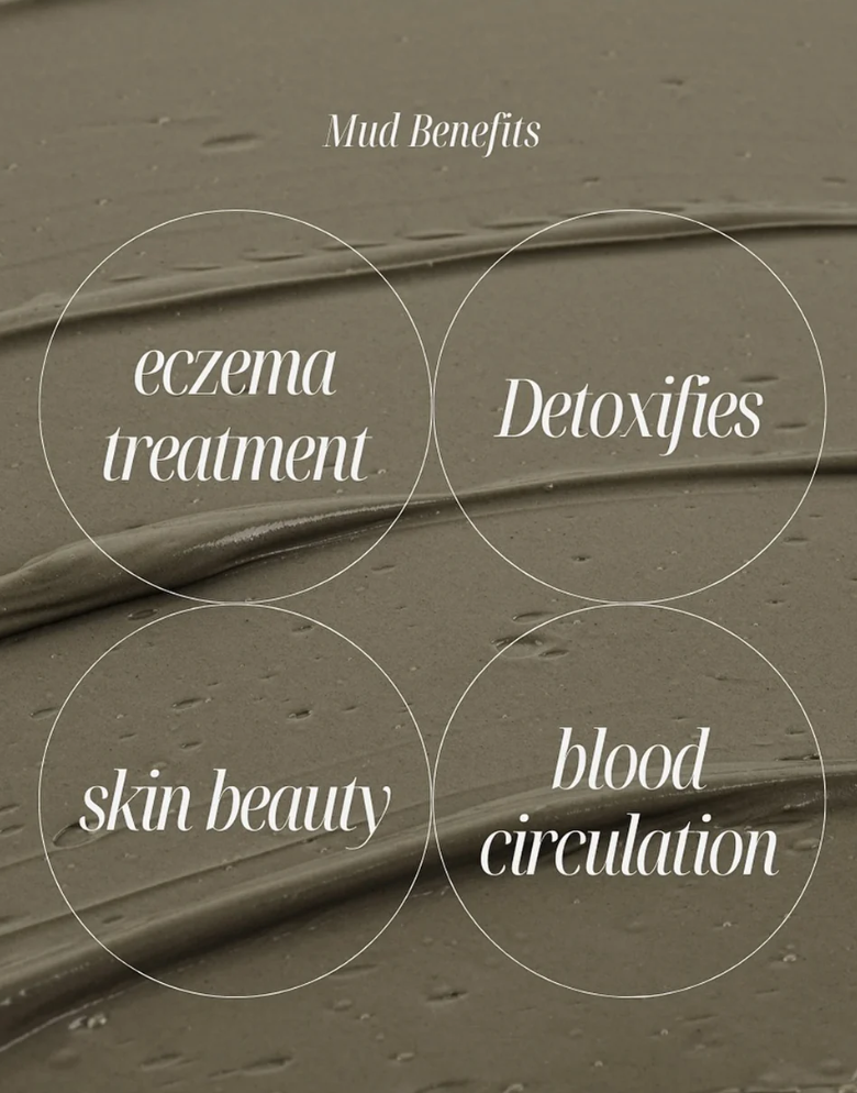 Panacelle Recovery Mud Mask