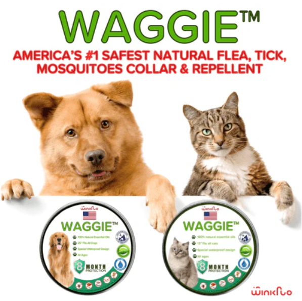 Waggiem-Natural Anti-Flea, Tick,& MosquitoCollar(Safest 8+ MonthsProtection)