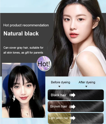 Natural plant extract bubble hair dye