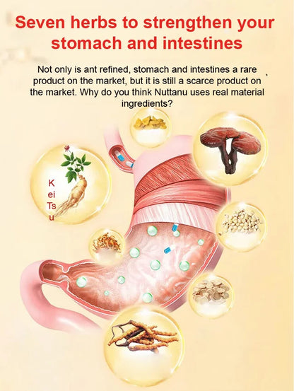 [Gastrointestinal problems cured with a single touch] Medical antipyretic gel for promoting qi circu